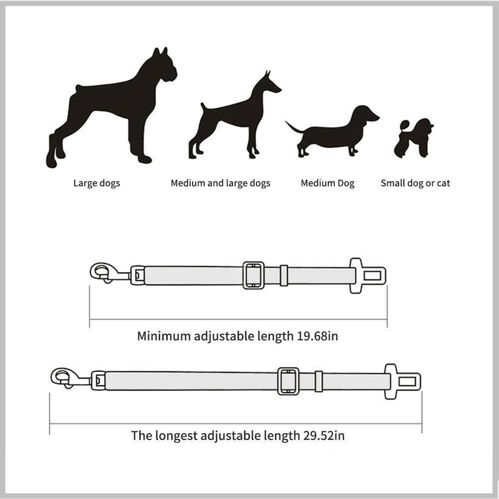 Medidas de ajuste para cinturón de perros