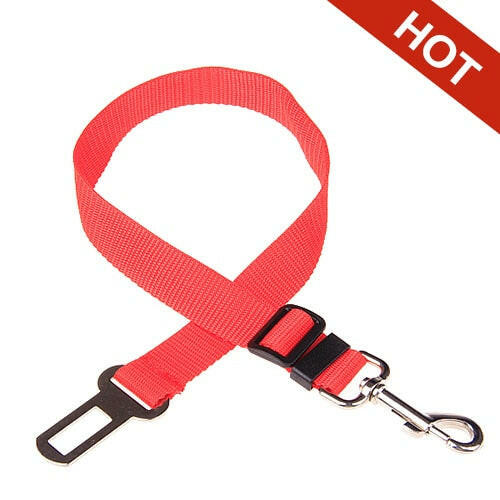 Cinturón de seguridad rojo para perro