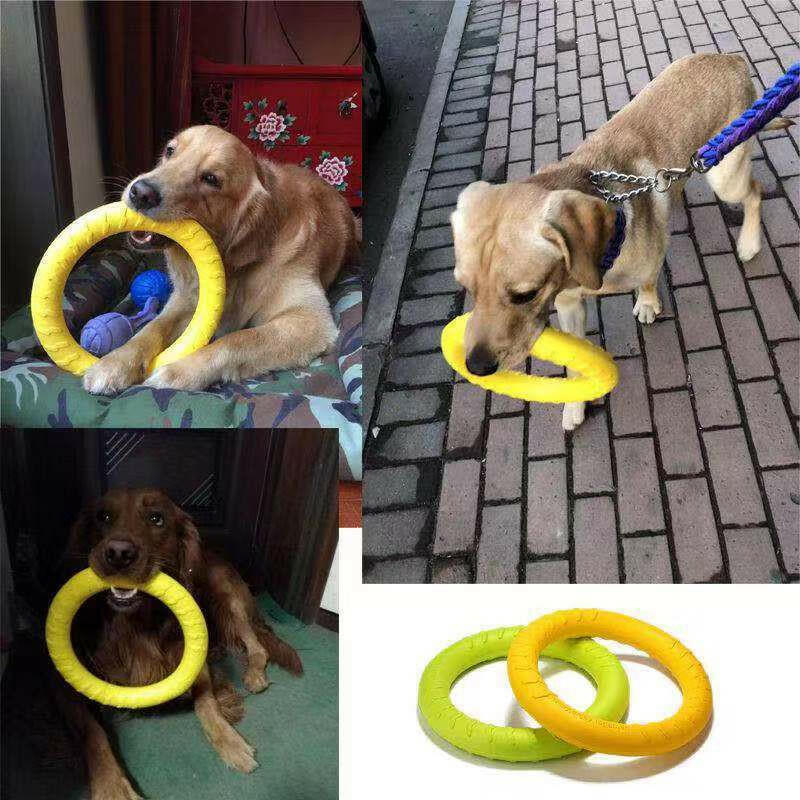 Ejemplos de juegos con disco de entrenamiento para perros