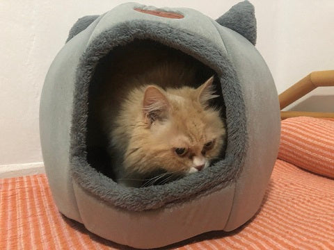 Gato dentro de cama cueva para gatos