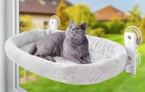 gato gris en hamaca de ventana