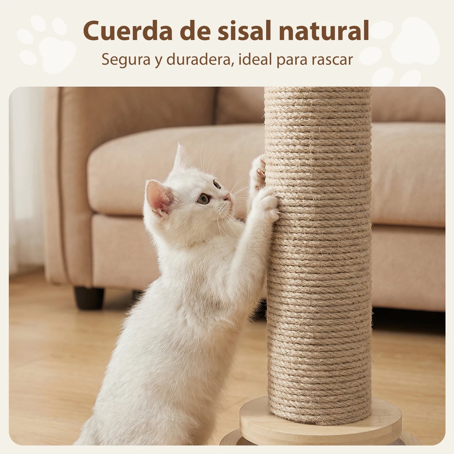 gato rascando torre
