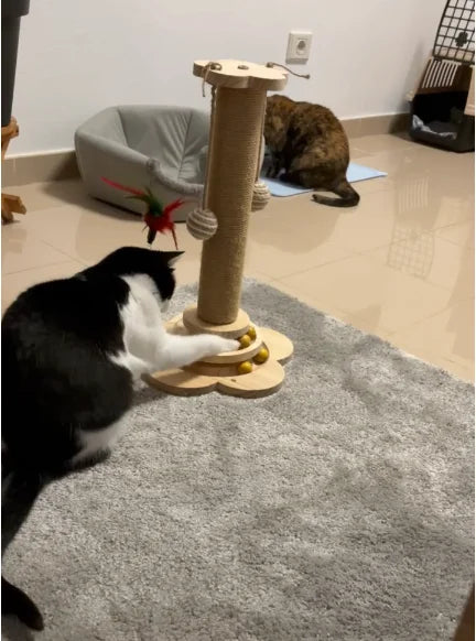 otro gato jugando con torre