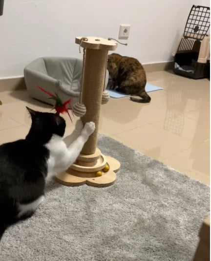 gato rascando torre