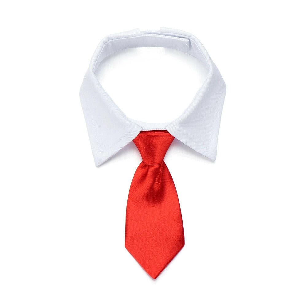 corbata roja para perro