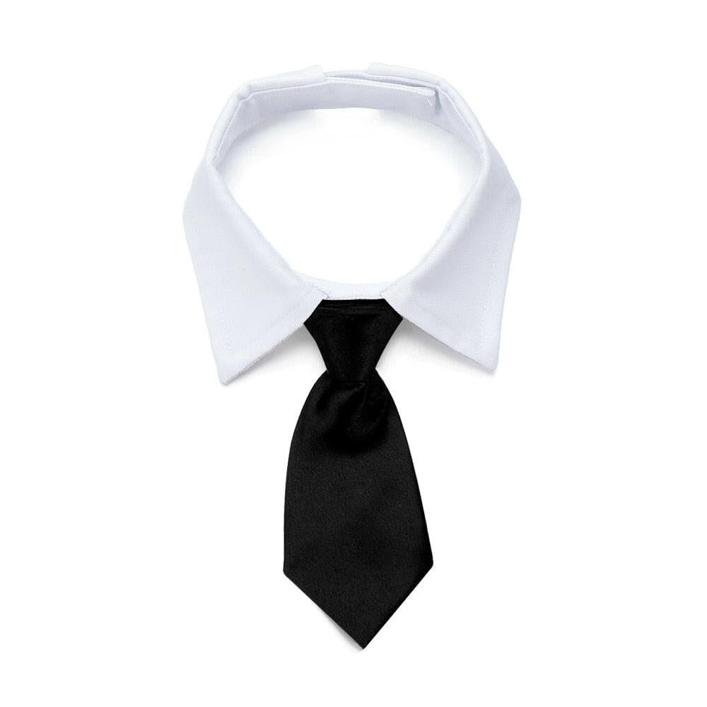corbata negra para perro