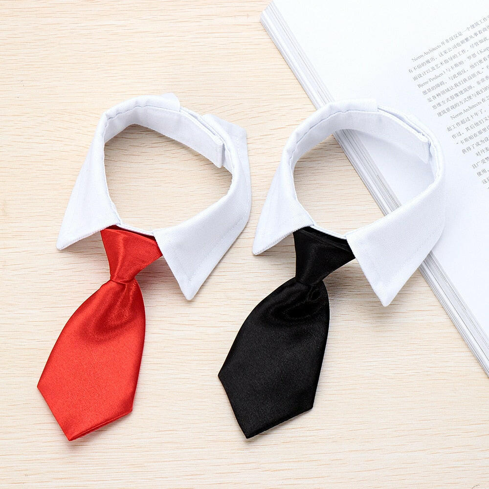 corbata roja y corbata negra para perros