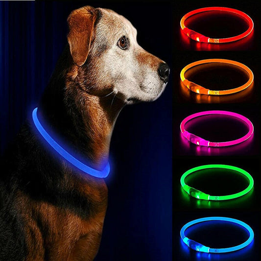 Ejemplos diferentes versiones collar led para perro