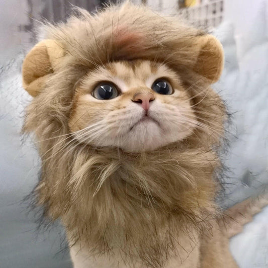 Disfraz melena de león para gato