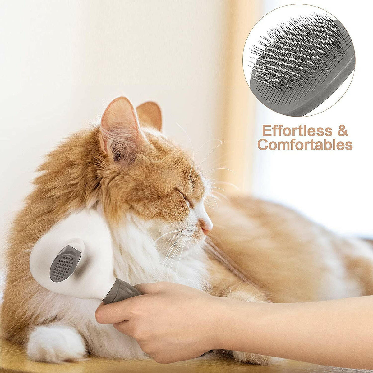 Gato Feliz siendo Cepillado con Cepillo para Gatos | Pelusito