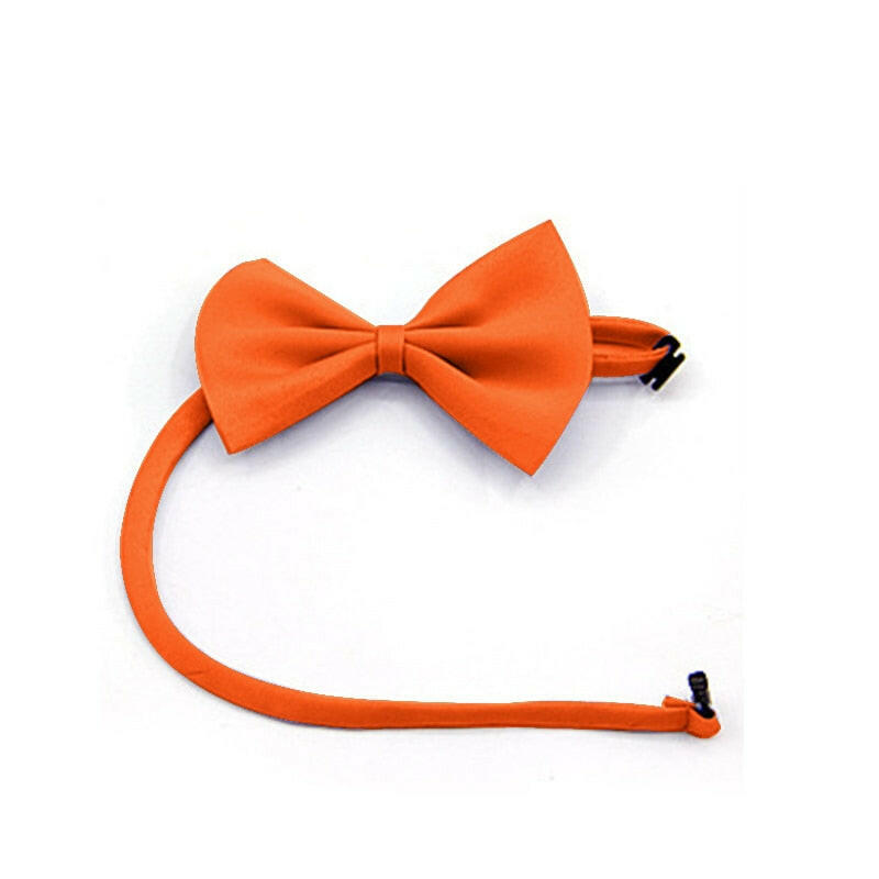 pajarita naranja para gato