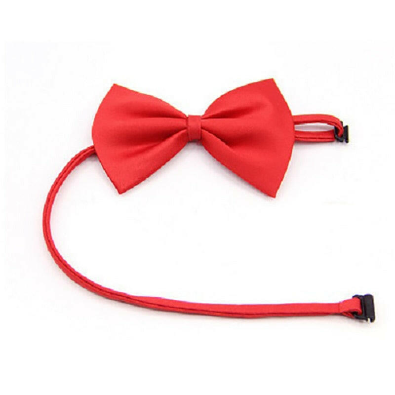 pajarita roja para gato