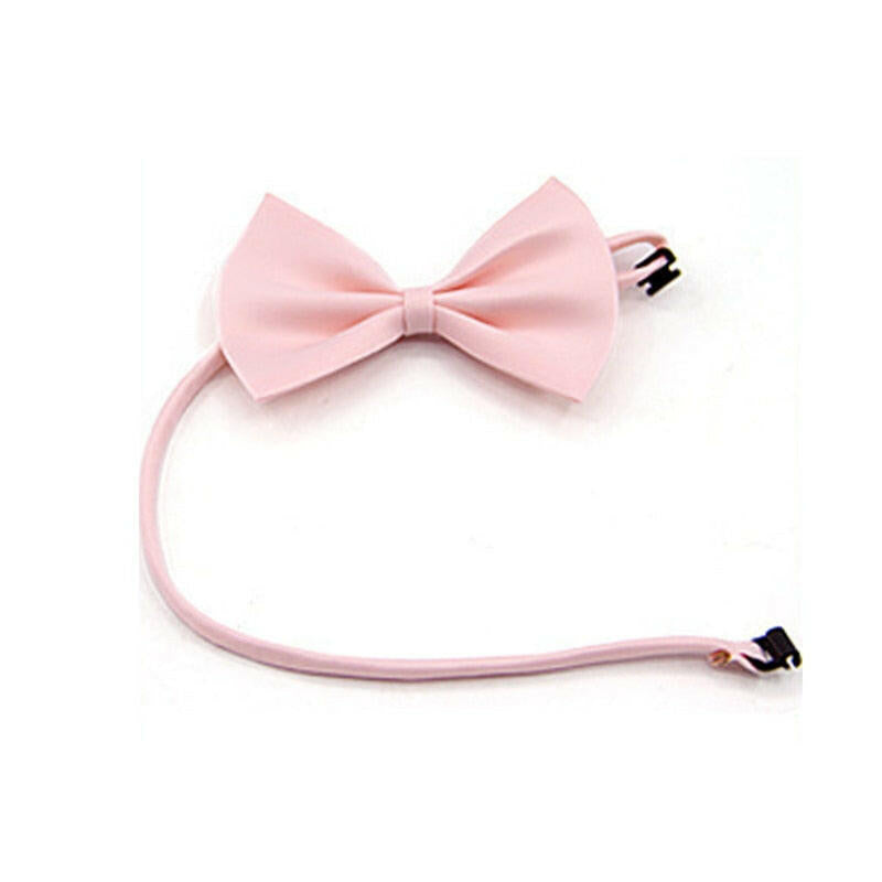pajarita rosa para gato