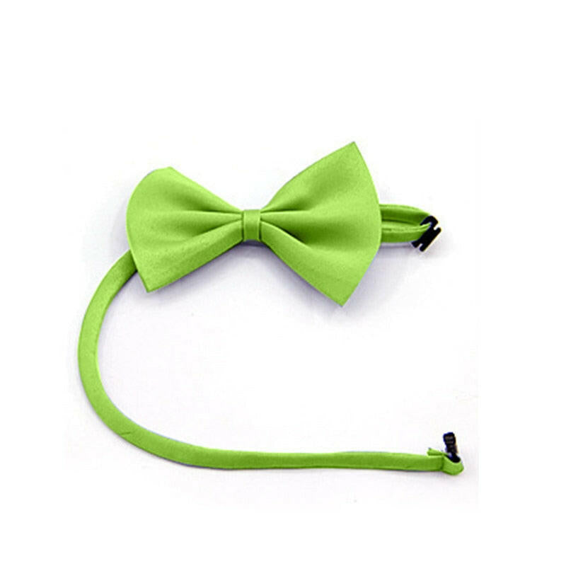 pajarita verde lima para gato