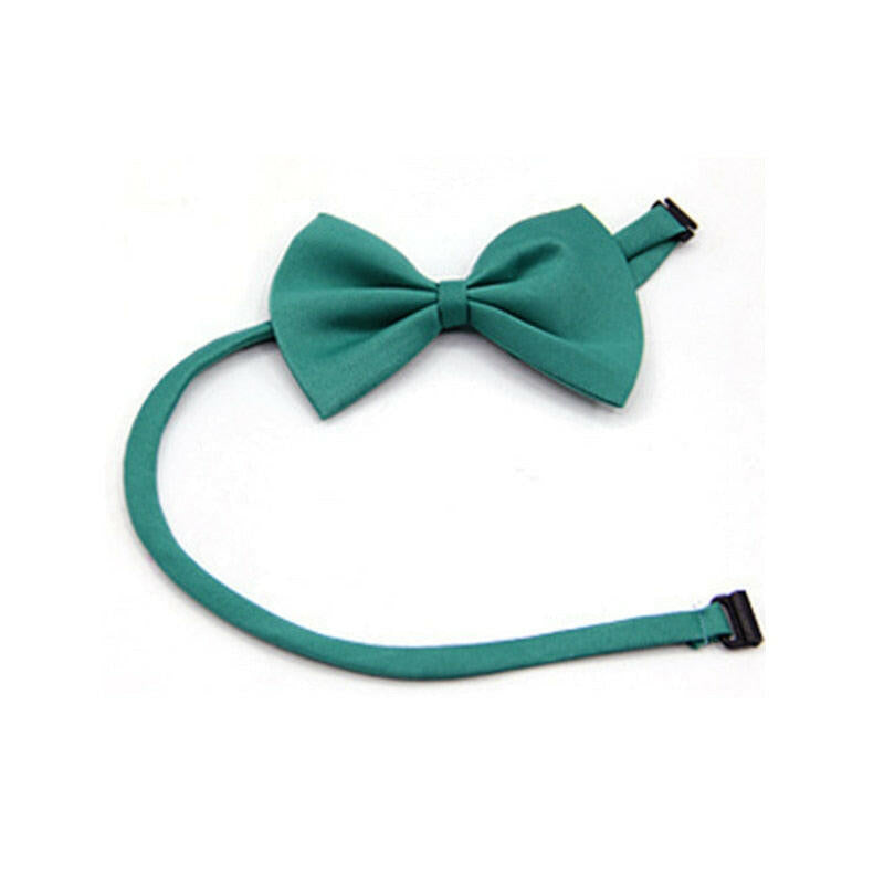 pajarita verde para gato